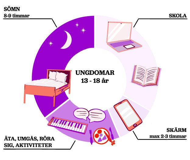 Dygnets timmar uppdelade på sömn, mat och aktiviteter.