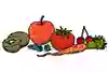 Kiwi, äpple, tomat, morot, rädisor, blåbär. Illustration.