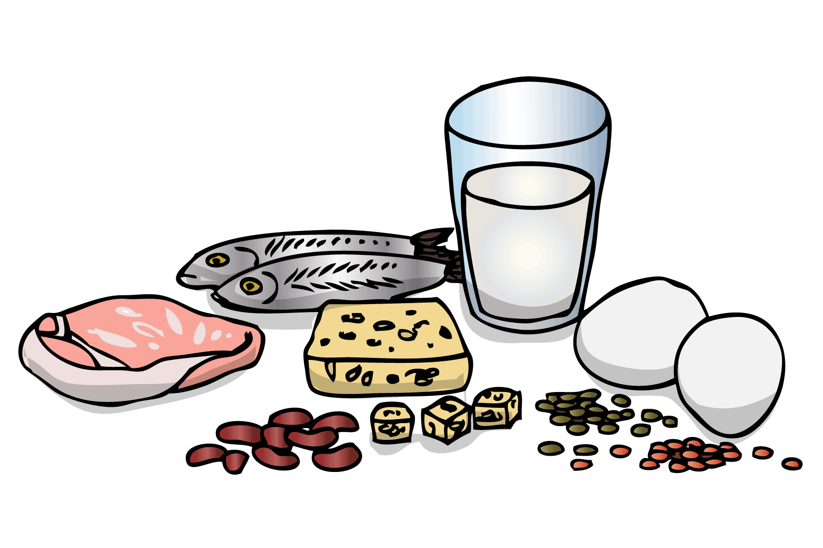 Exempel på proteiner, fisk, mjölk, bönor, ost, ägg, bönor och linser. Illustration