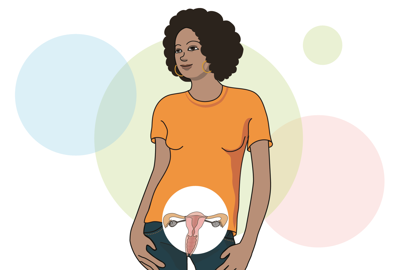 En person där livmodern och slidan syns i genomskärning. Ett ägg är på väg ut ur äggstocken och in i äggledaren.