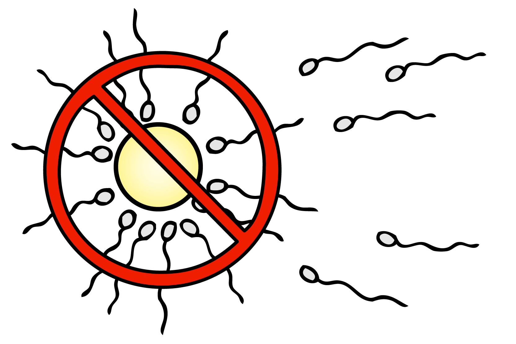 Spermier som simmar mot ett ägg men ägget är överkryssat med en röd cirkel med sträck igenom.