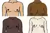 Fyra personers nakna överkropp. Illustration.